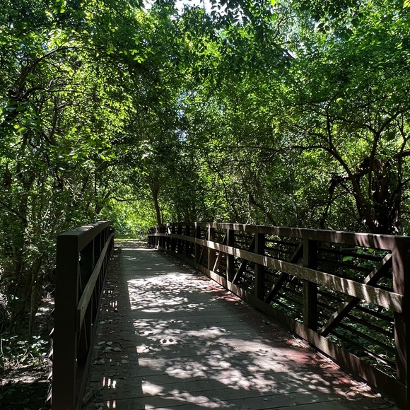 Meet your Posher, L P - Picture 10 of 13